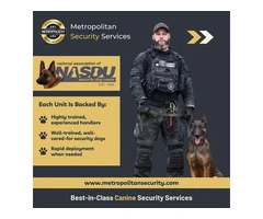 Canine Security