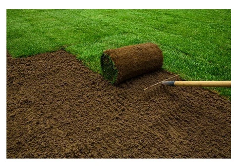 Lawn Turf Laying in Epsom