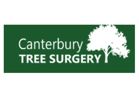 Need expert tree surgery in Kent?