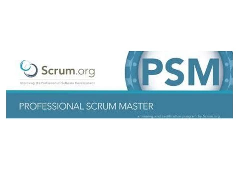 PSM Certification Training Course
