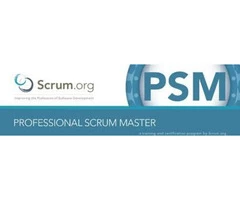 PSM Certification Training Course