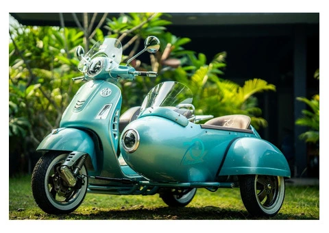 Custom Sidecar Vespa & Motor – Handcrafted by Scooter99 - 1/5