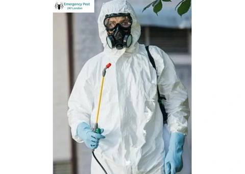 Emergency Pest Control London 24 7 | Pest Control London Experts