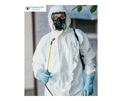 Emergency Pest Control London 24 7 | Pest Control London Experts