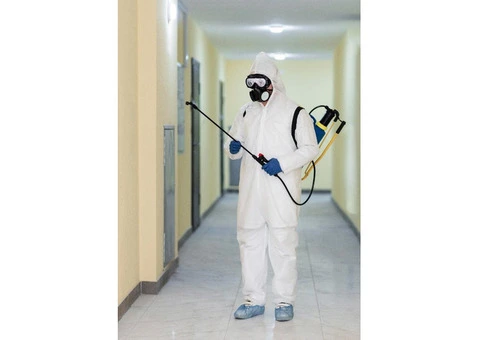 Pest Control Hammersmith | Emergency Pest Services by Pest Control 24 London LTD