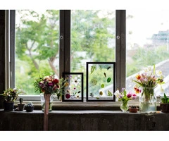 Transform Your Living Space With ARK Stained Glass Window Designs