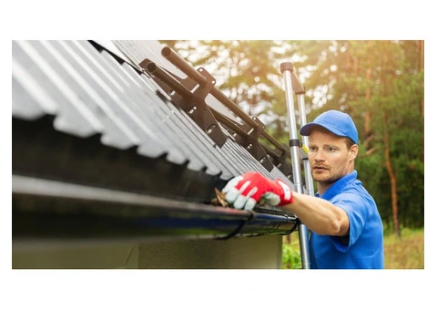 Professional Gutter & Exterior Cleaning Services