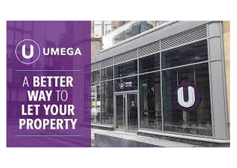 Maximize Your Edinburgh Property Investment with Professional Buy-to-Let Services!