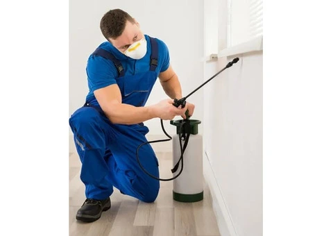 Reliable Vermin Control London – Fast Response Pest Solutions Anytime
