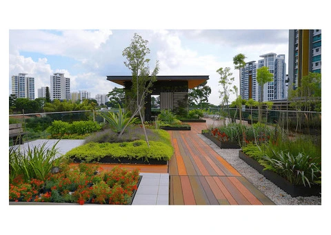 Book a Consultation with Leading Landscape Architects London | Kelektiv Ltd