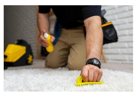Professional Carpet Cleaning Services in Ipswich at Affordable Prices