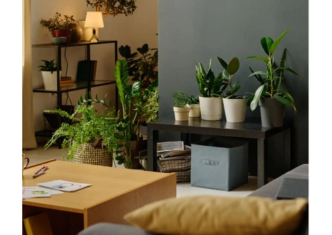 Leading Commercial Decorating Specialists in London