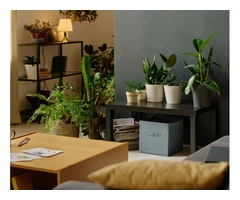 Leading Commercial Decorating Specialists in London