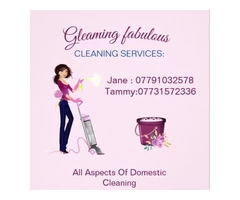 Gleaming fabulous 'cleaning services