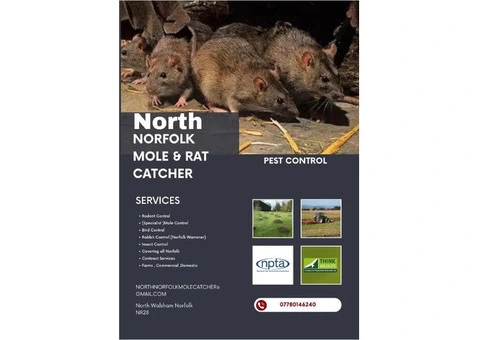 Affordable Pest Control