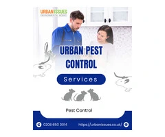 London’s Trusted Graffiti Removal, Bird Proofing & Pigeon Guano Removal