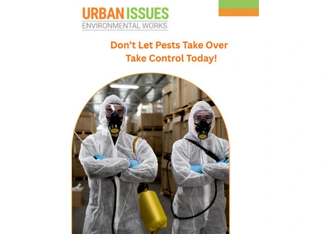 London’s Trusted Graffiti Removal, Bird Proofing & Pigeon Guano Removal - 2/2