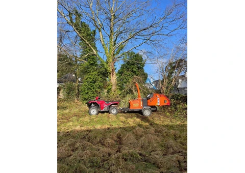 Affordable Tree Surgeon Limerick: Best Value Tree Services
