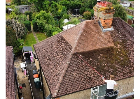 Professional Roof Moss Removal & Cleaning Services