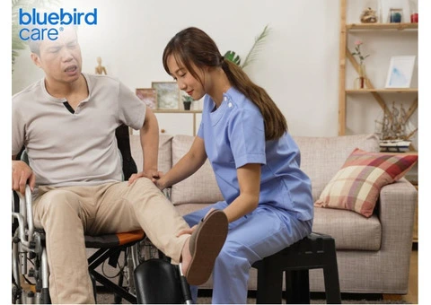 Homebased Personal Care Service in Barnet – Dignified Assistance for Everyday Living at Home