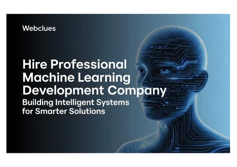 Hire Professional Machine Learning Development Company