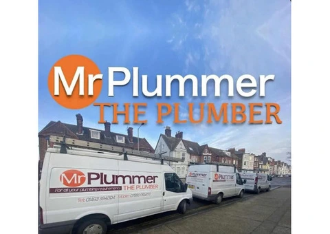 Mr Plummer The Plumber - 2/9