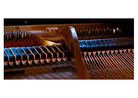 Reliable Piano Tuning & Repairs in Hampshire