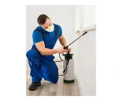 Commercial Pest Control in London: Contracts & Compliance 24/7 | Pest Control 24 London