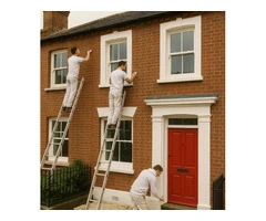 Transform Your Walls with Professional Care