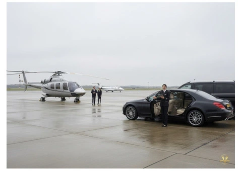 I London VIP Chauffeur - 17/30