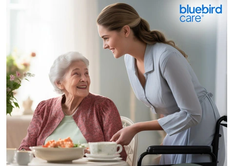 Compassionate Home Companion Care for Seniors in Barnet