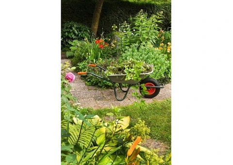 Garden Maintenance in London - 3/12