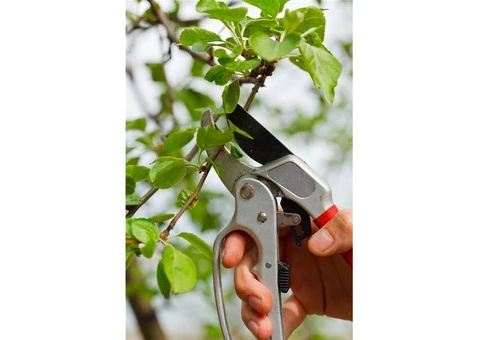 Garden Maintenance in London - 6/12