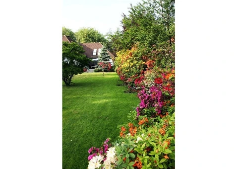 Garden Maintenance in London - 7/12