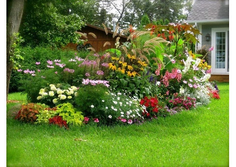 Garden Maintenance in London - 8/12