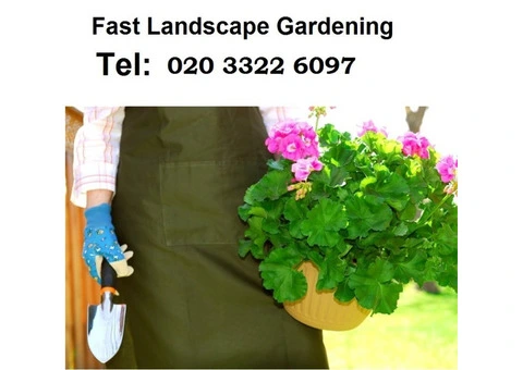 Garden Maintenance in London - 9/12