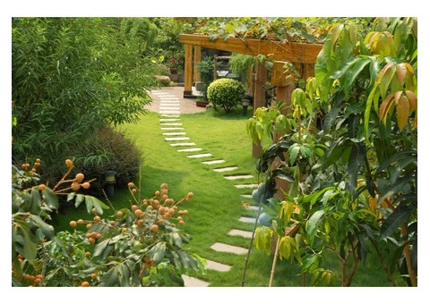 Garden Maintenance in London - 11/12