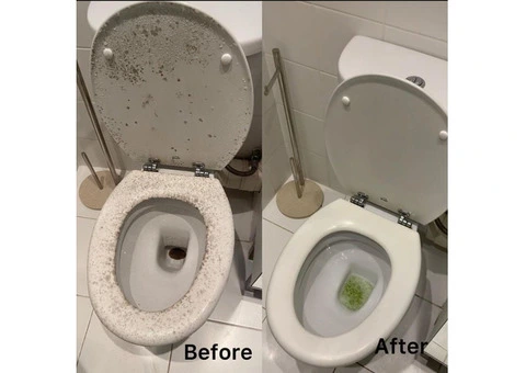 Domestic & Deep cleaning - Fresh 4u London - 4/5