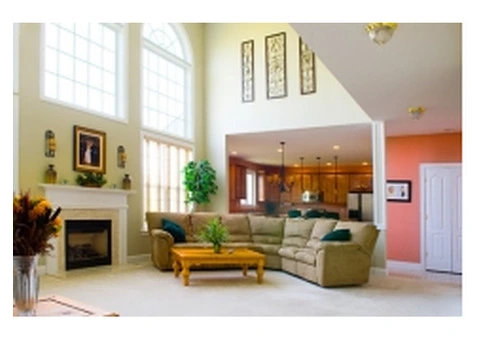 Elevate Your Interior with Trusted Decorators