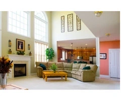 Elevate Your Interior with Trusted Decorators