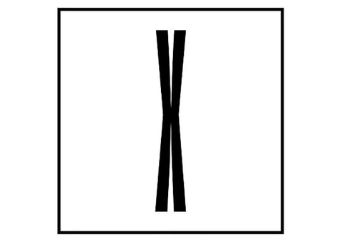 X Print Studio