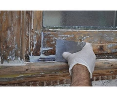 Motherwell damp proofing, rot and woodworm experts