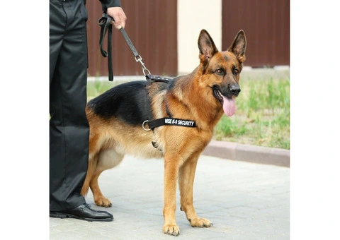 manned guarding london - 6/16