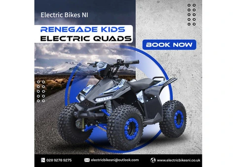 Adult Electric Bikes in Northern Ireland
