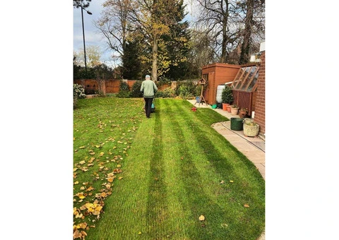 Who Offers the Best Garden Clearance Services in Milton Keynes?