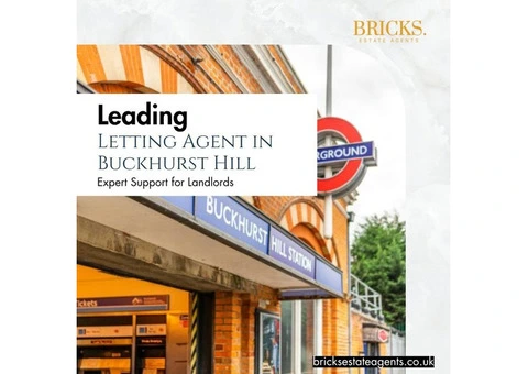 Leading Letting Agent in Buckhurst Hill – Expert Support for Landlords