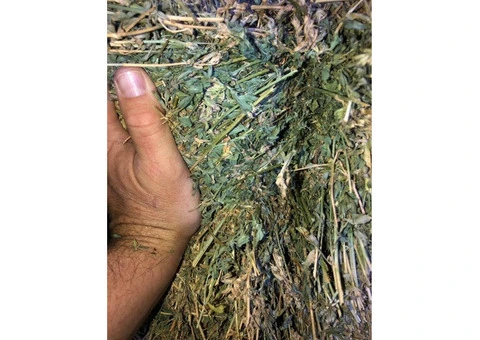 Hay-Barley and wheat straw in 80x70x240cm 4 string. - 1/3