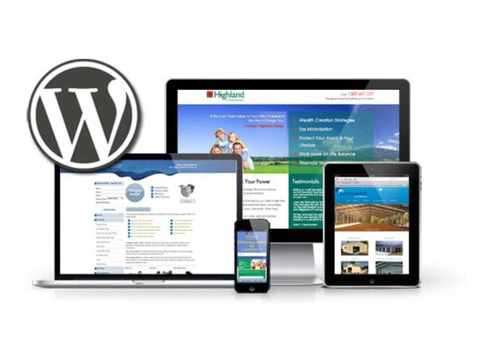 convert current website to wordpress