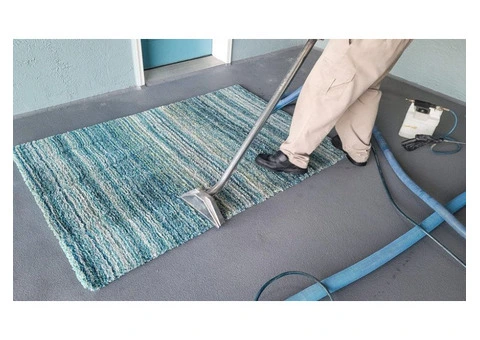Carpet Damage & Cleaning Services in Brighton