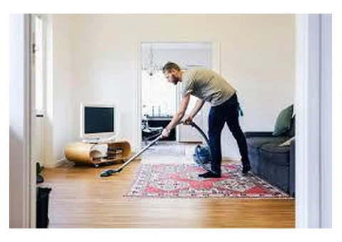 naked male cleaner available for women - 3/3